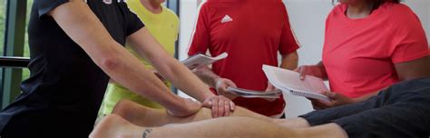 How To Become A Sports Massage Therapist Career Guide Hfe