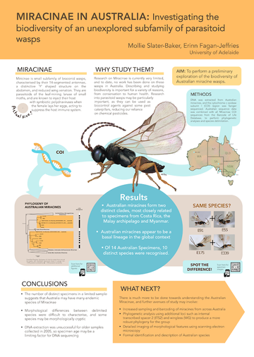 How To Choose The Best Layout For Your Scientific Poster