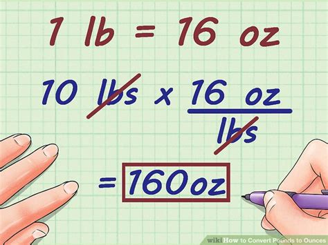 How To Convert Change Pounds Lbs To Ounces Oz Formula For Pounds