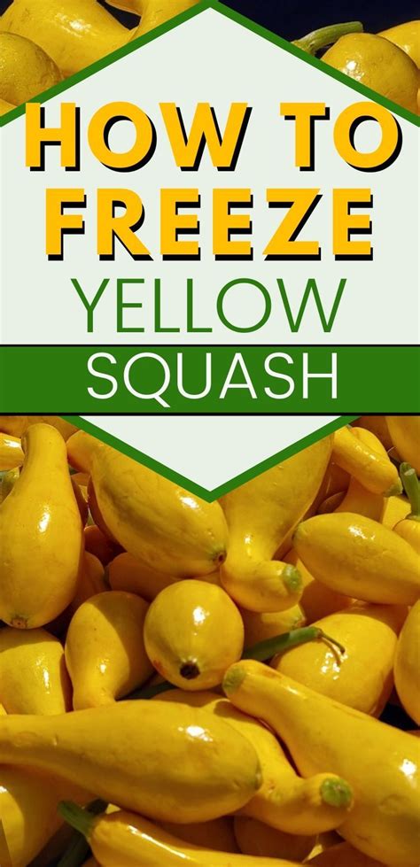 5 Ways Freeze Squash