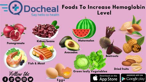 How To Increase Hemoglobin In The Blood Thoughtit20