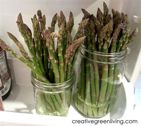 How To Keep Asparagus Fresh For A Week Or More Eco Friendly Home