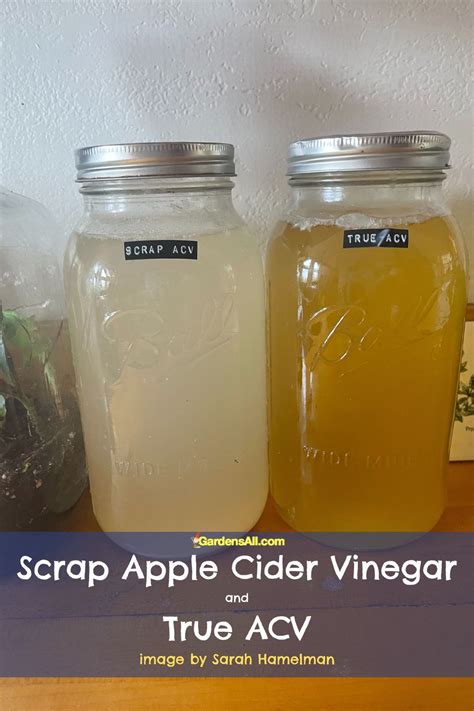 5 Ways Make Vinegar