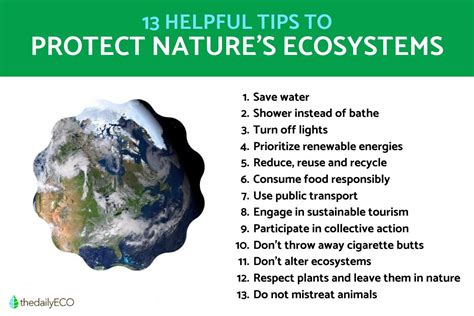 How To Protect Nature Amp 39 S Ecosystems Practical Tips To Save The Environment