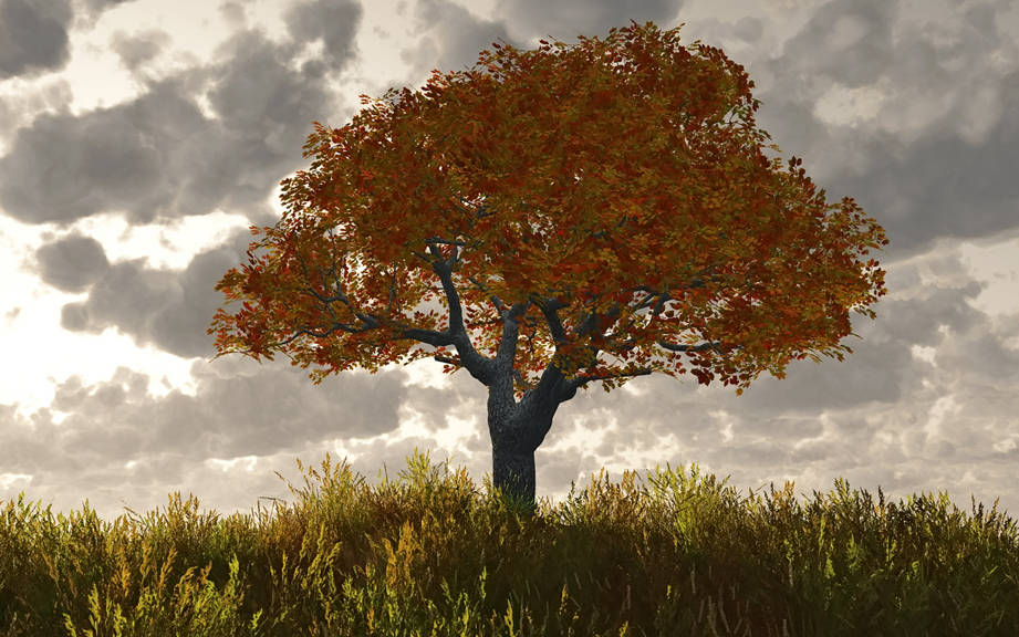 How To Say Fall In Spanish What Is The Meaning Of Oto O Ouino