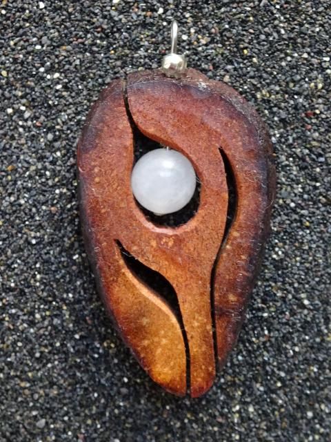 How To Sprout Avocado Seed Bought From Grocery Store Easy Method To