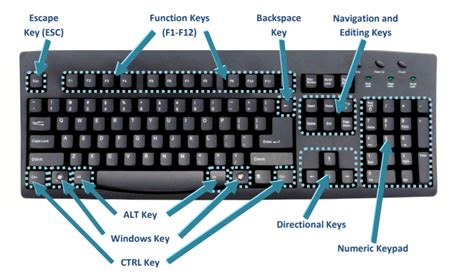 How To Use Top Keys On Keyboard At Michael Nimmons Blog