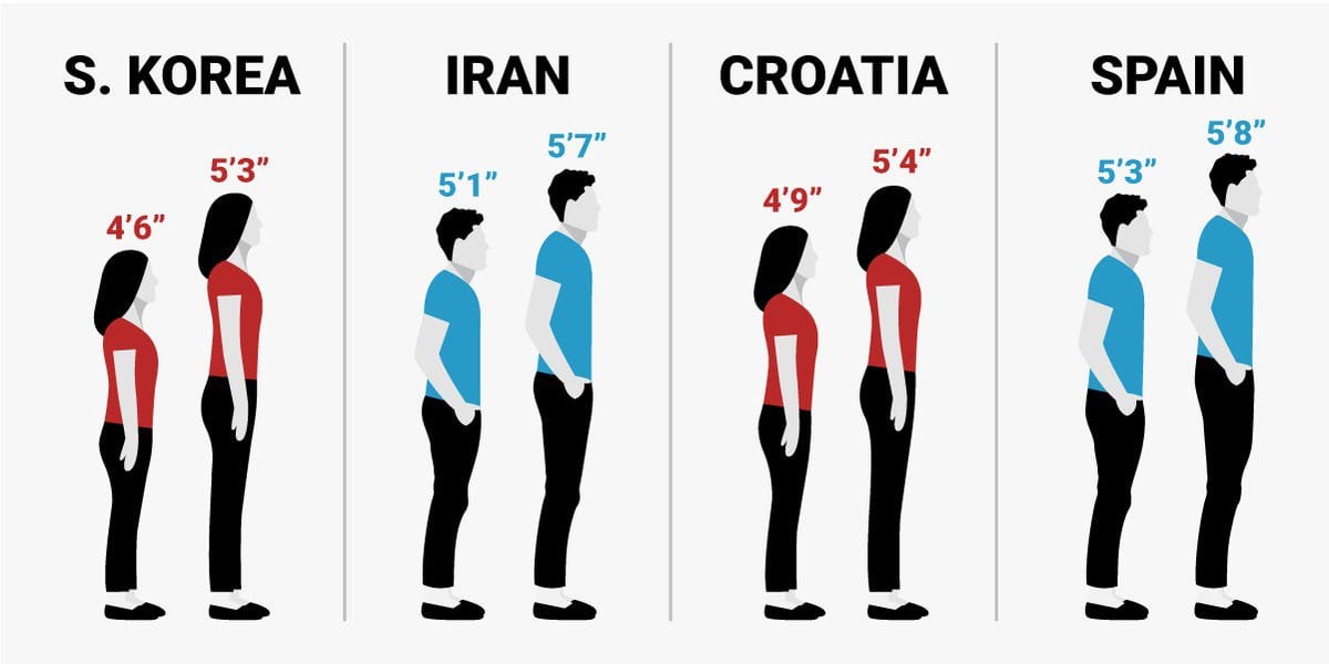 Human Height Changes Over The Last 100 Years In Different Countries