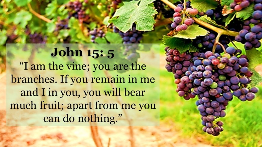 5 Ways To Branch Out