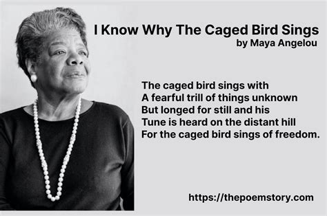I Know Why The Caged Bird Sings As A Symbolic Call For Peace And Freedom