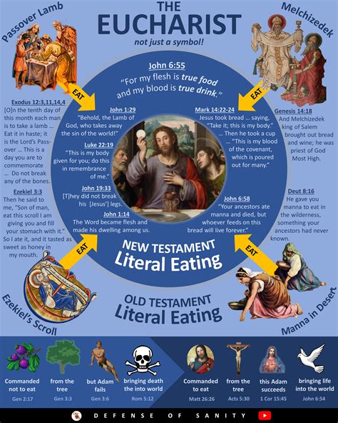I Made This Infographic To Help Explain The Eucharist What Do You