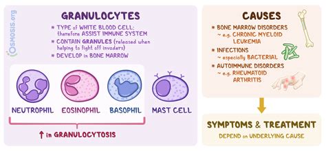 Immature Granulocytes High