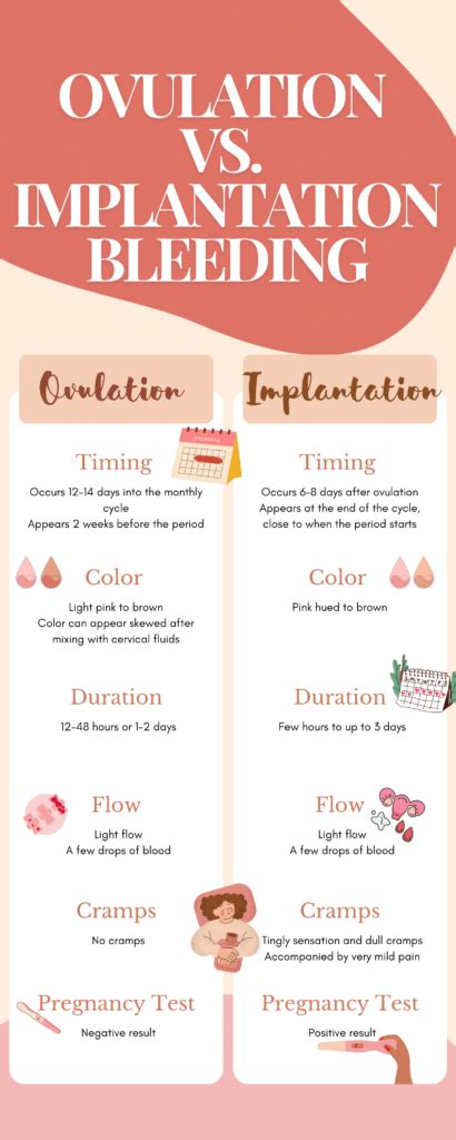 Implantation Bleeding Or Ovulation Spotting