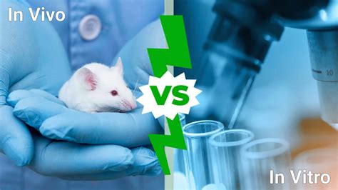 In Vitro Vs In Vivo Differences