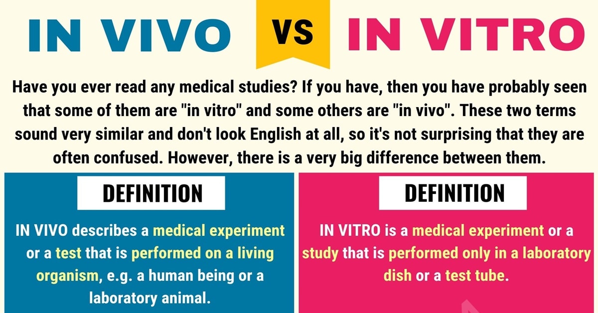 In Vivo vs In Vitro Differences