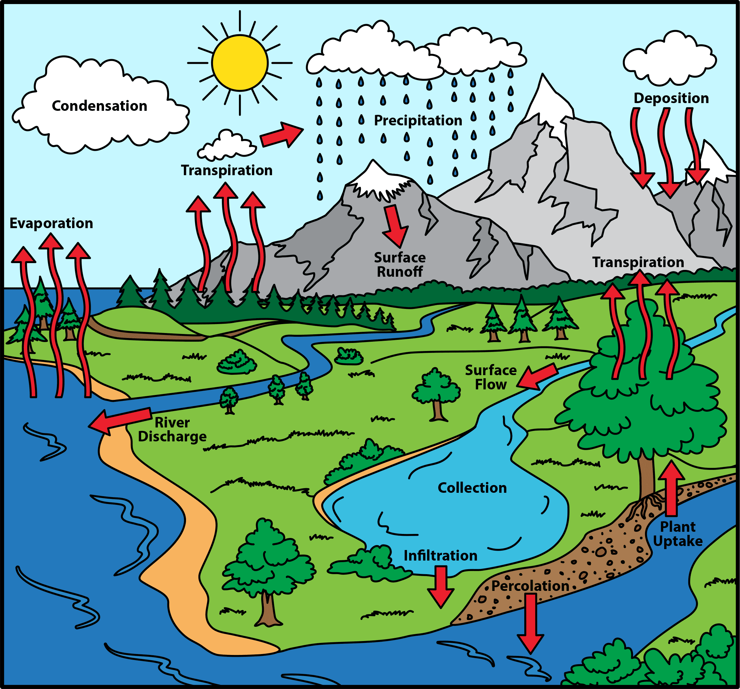 Infiltration Water Cycle Diagram Water Cycle Diagram Labeled
