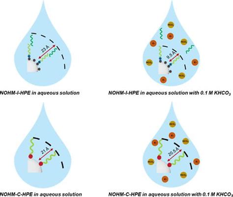 Insights Into The Assembly And Conformation Of Nanoparticle Organic