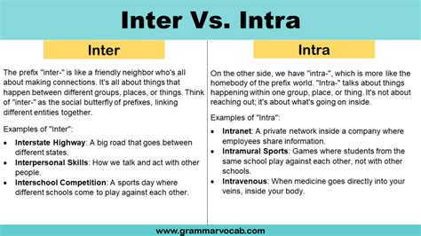 Inter Vs Intra What S The Difference Grammarly