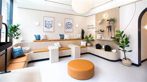 Interior Design For Pets Is A Thing Just Ask This Brooklyn Vet
