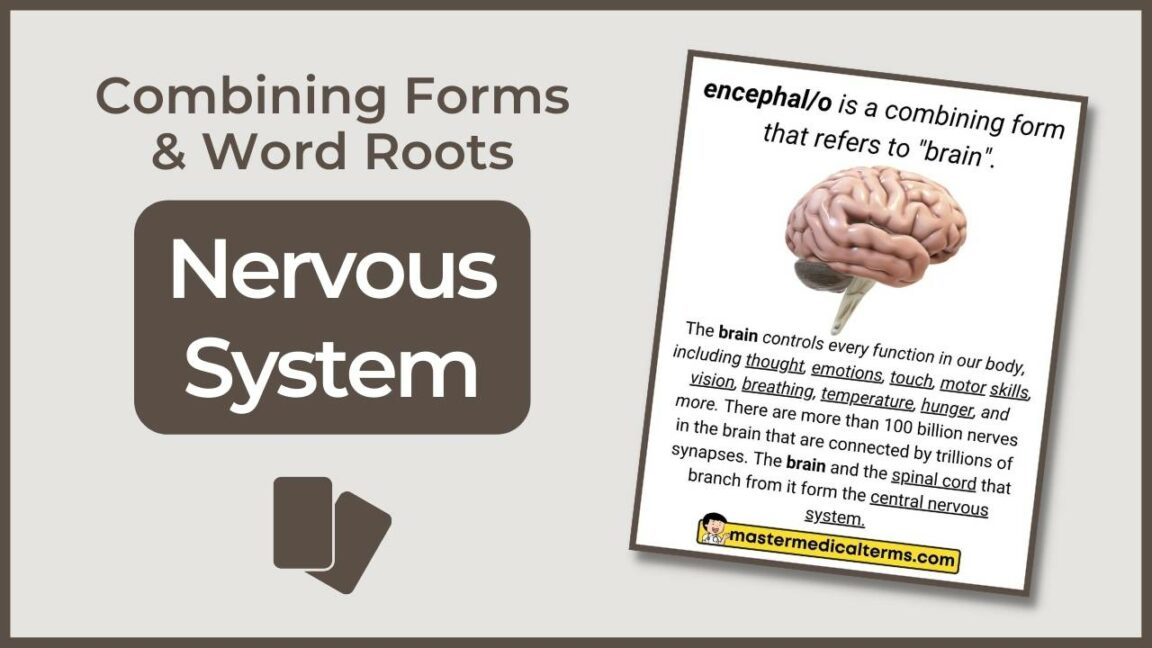 Intra Intro Master Medical Terms