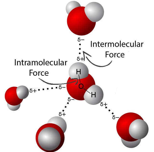 Intramolecular And Intermolecular Forces Explained Hsc Chemistry