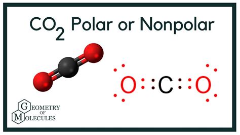 Is Co2 Polar Or Nonpolar And Why