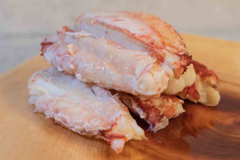 Is Fish Considered Meat