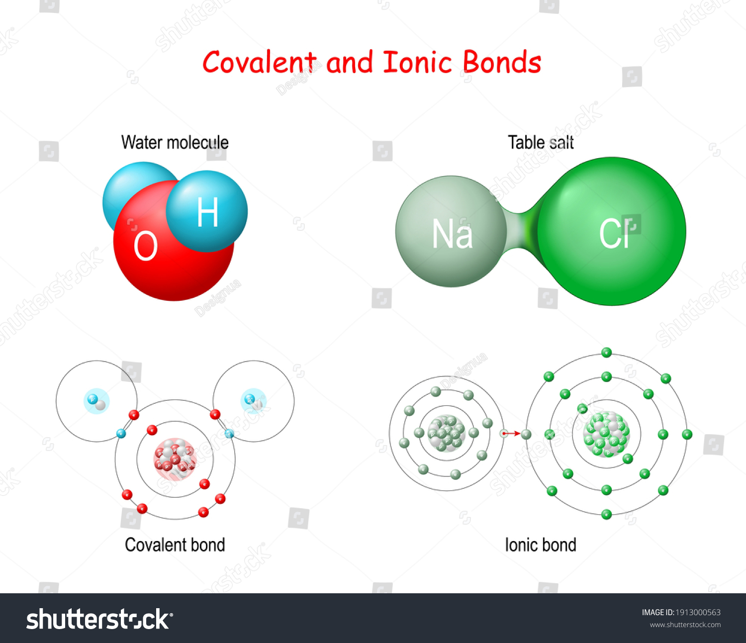 H2O: Ionic or Covalent Bond