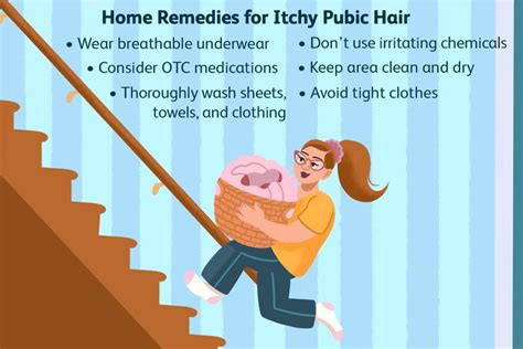 Itchy Pubic Hair Causes Treatments And Prevention