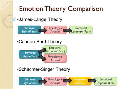 James Lange And Cannon Bard Theories Of Emotion