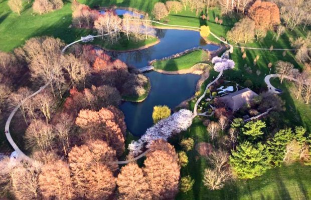 Japan House University of Illinois Campus Hub