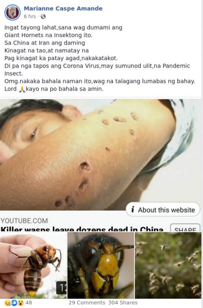 Japanese Hornet Attack