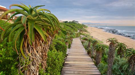 Jeffreys Bay Travel Guide Accommodation Tourist Information