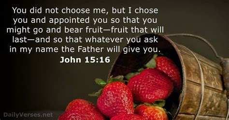 John 15 16 Bible Verse Nrsv Dailyverses Net