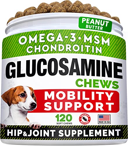 Joint Medication For Dogs