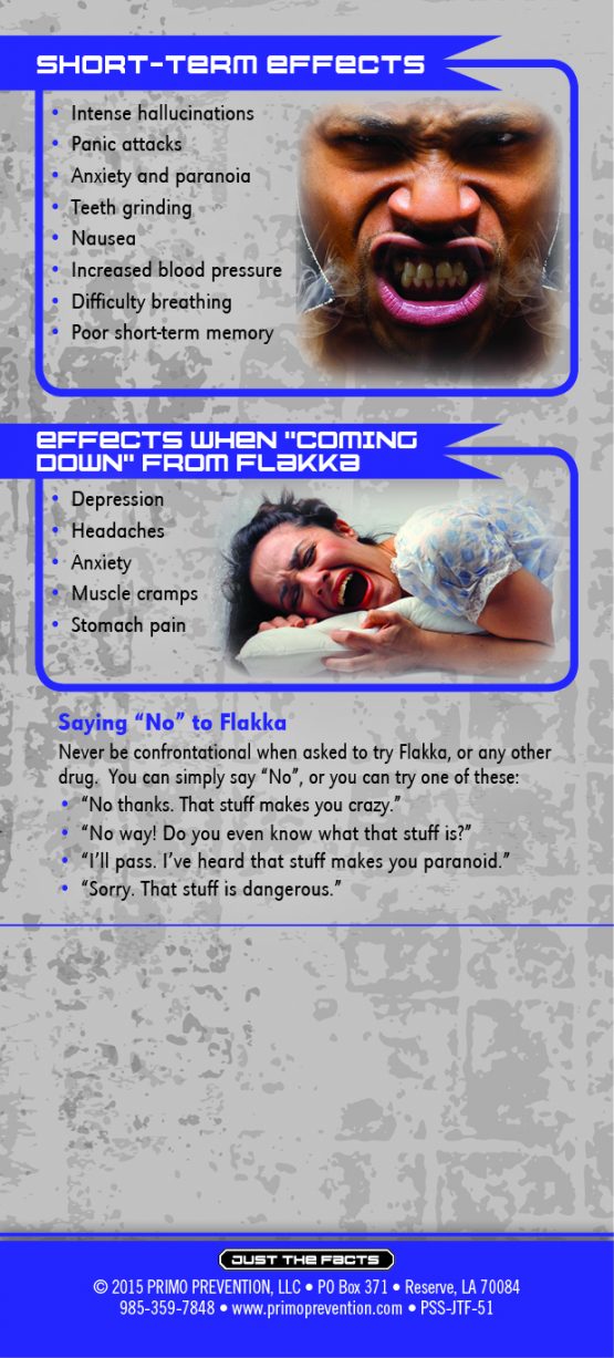 Just The Facts Rack Card Flakka Primo Prevention