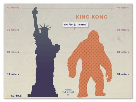 Kind Of A Big Deal How King Kong Measures Up Images Live Science