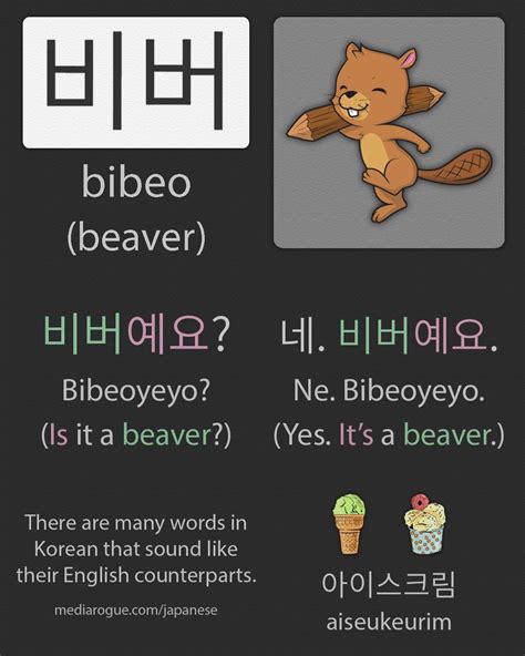 Korean Word For Beaver Artofit