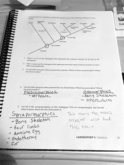Lab 5 Cladogram And Parsimony Analysis Biol 1407 Studocu