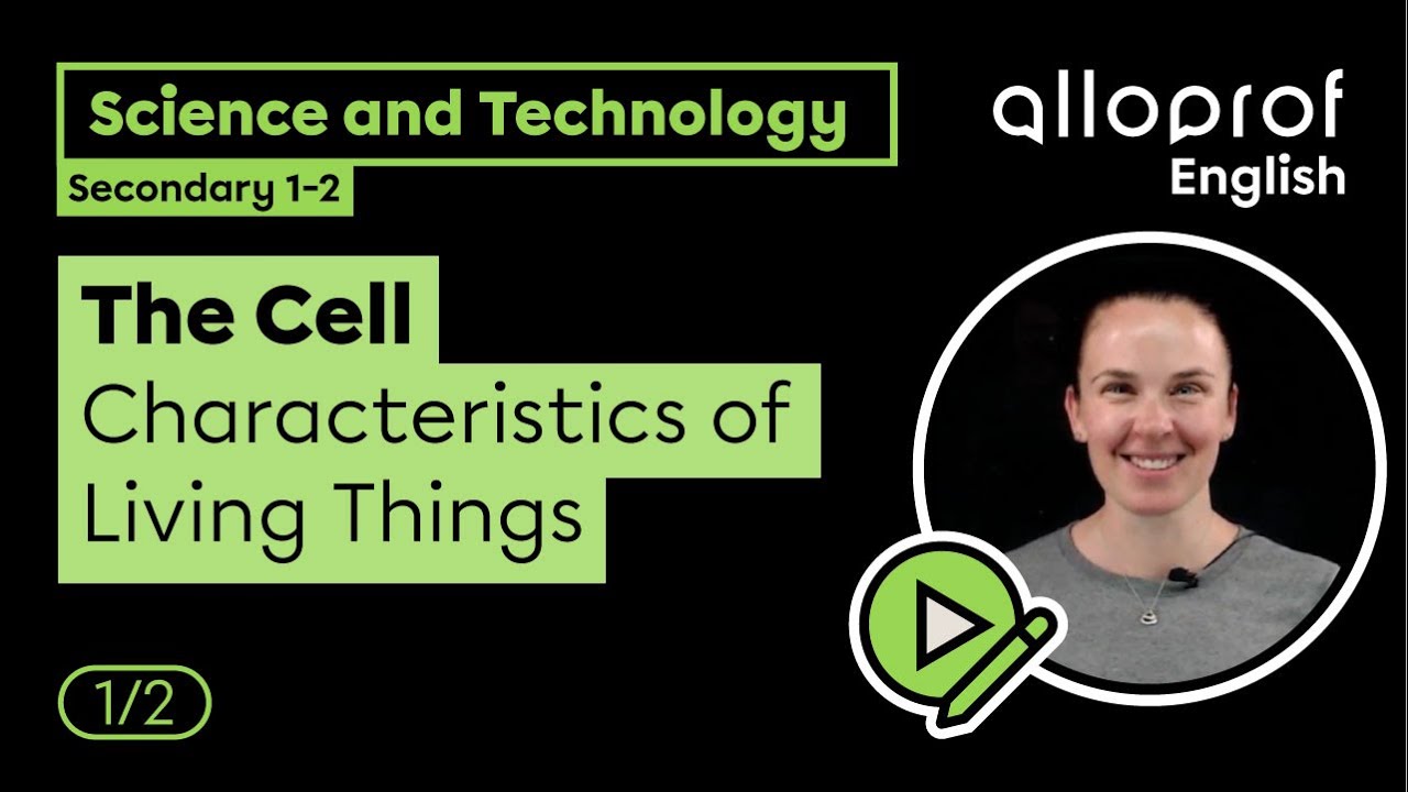 Lab Report Tips Procedure Science And Technology Alloprof Youtube