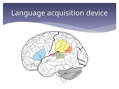 Language Acquisition Device Explained