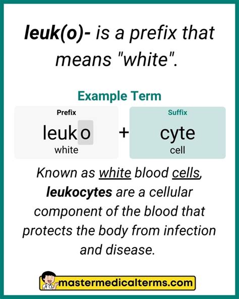 Leuk/O Medical Term