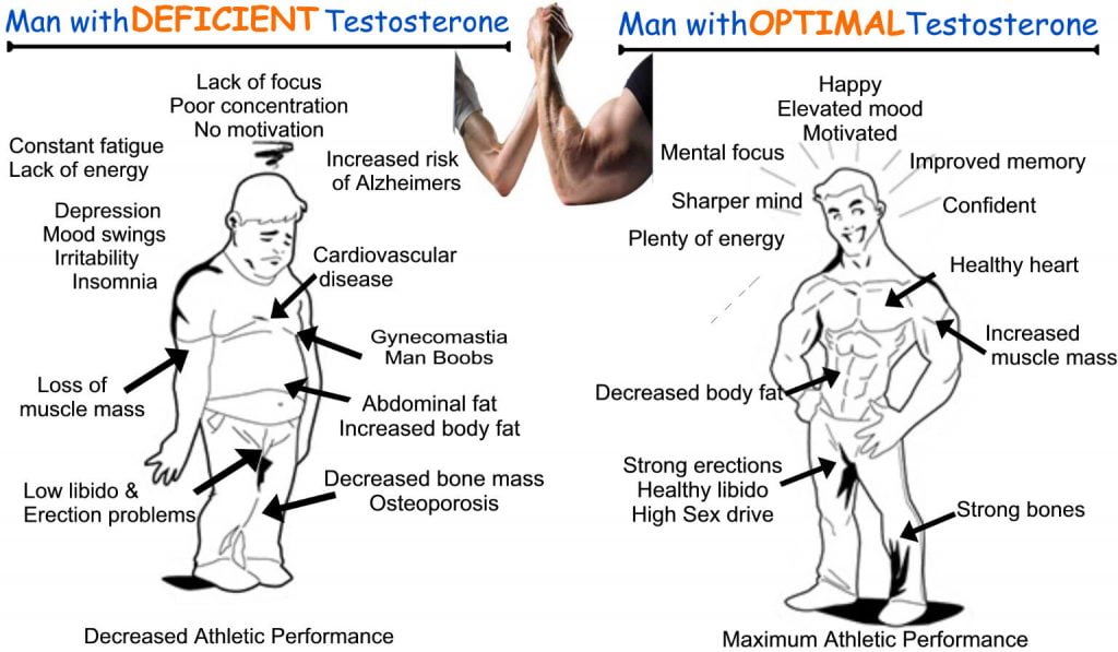 Levels Of Testosterone As Per Age Why This Hormone Is Essential In