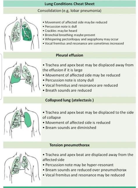 Lung Consolidation Vs Pleural Effusion