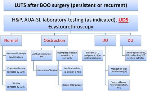 Luts Abbreviation Medical