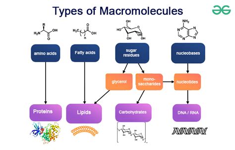 Macromolecules