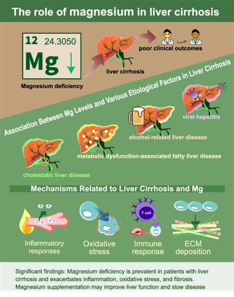 Magnesium Aids Liver Health