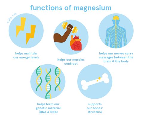 Magnesium Nutrient Function At Phillip Abel Blog
