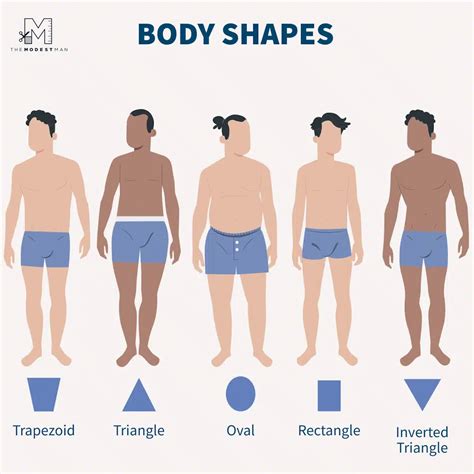 Male Body Types