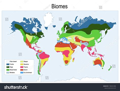 World Biomes Map